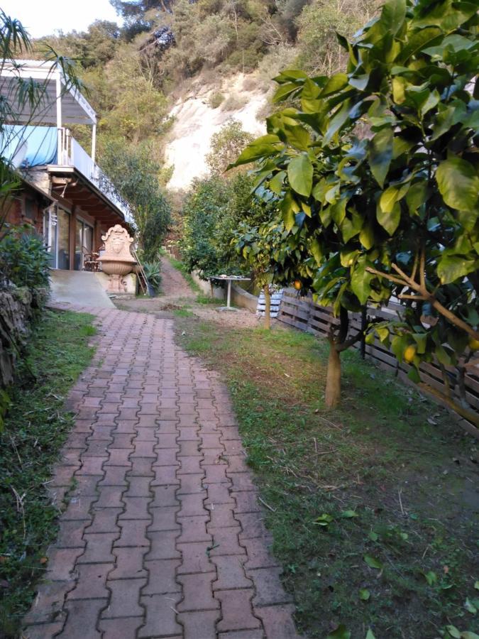 Oasis Chalet